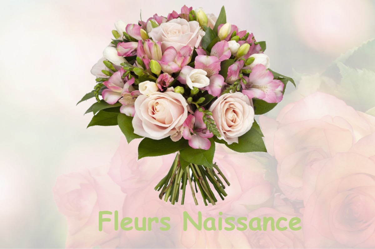 fleurs naissance SAINT-PIERRE-DE-LAMPS